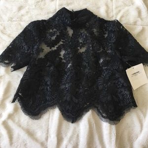 Stone Cold Fox Stella Crop